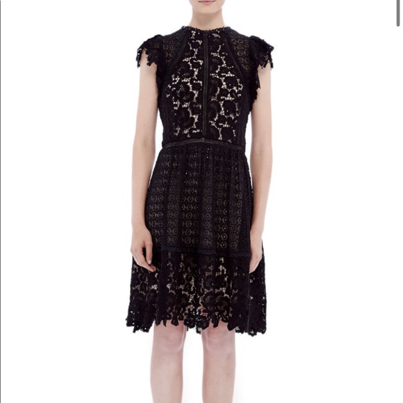 Rebecca Taylor Black Lace Dress - Picture 6 of 16